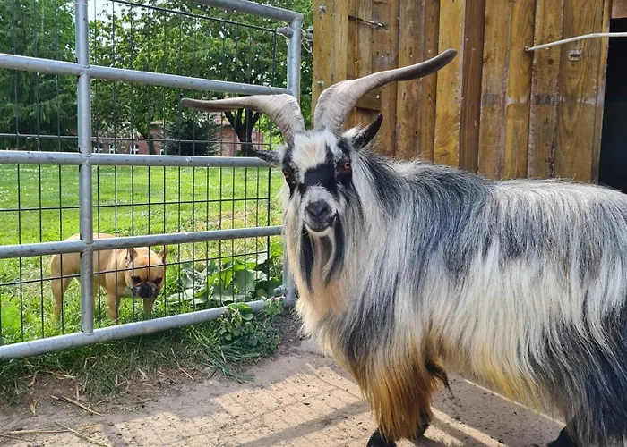 Gutshof Kaemmerich - Fuchsbau Апартаменты Altkalen